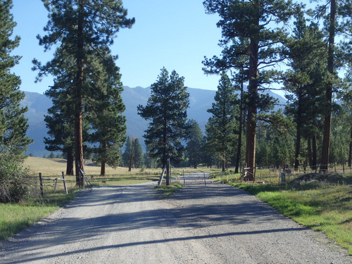 GDMBR: The gate is closed, which usually means that Cattle are in that field.